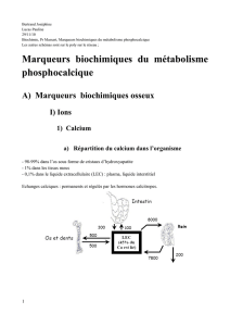 Marqueurs biochimiques du métabolisme phosphocalcique