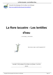 La flore lacustre - Les lentilles d`eau