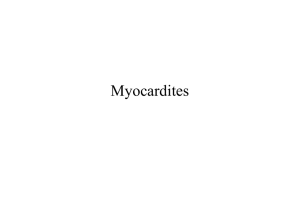 Myocardites