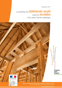 La protection des bâtiments neufs contre les termites et les autres