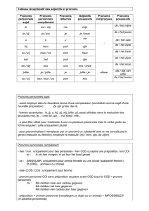 Les adjectifs et les pronoms (fichier pdf)