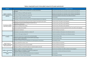 Tableau récapitulatif du plan d`action global composé de 22 projets