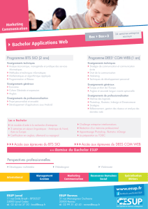 Bachelor Applications Web