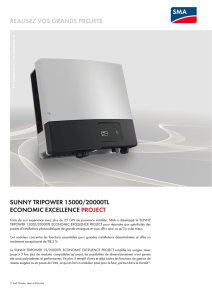 realisez vos grands projets sunny tripower 15000