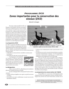 Zones importantes pour la conservation des oiseaux (ZICO)