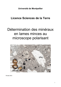 Détermination des minéraux en lames minces au microscope