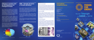 F4E_Trifold brochure_A4 - Fusion For Energy