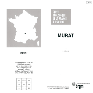 BRGM carte géologique Murat.