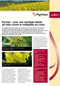 Pyrinex - Syngenta