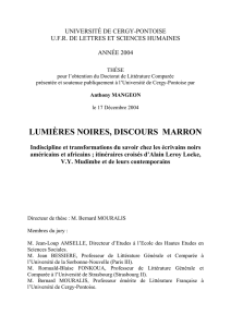 LUMIÈRES NOIRES, DISCOURS MARRON Indiscipline