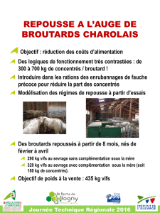REPOUSSE A L`AUGE DE BROUTARDS CHAROLAIS