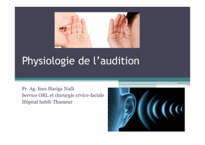 Rappel de la physiologie de l`audition