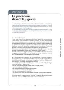 Annexe 4 : La procédure devant le juge civil
