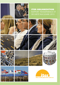 iter organization rapport transparence et sécurité nucléaire 2013