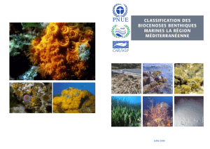 Biocénoses benthiques marines de la région méditerranéenne