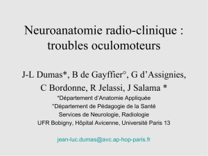 Neuroanatomie radio-clinique : troubles oculomoteurs
