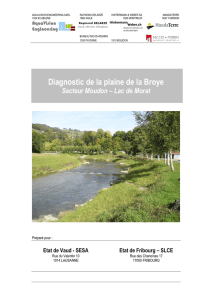Diagnostic de la plaine de la Broye