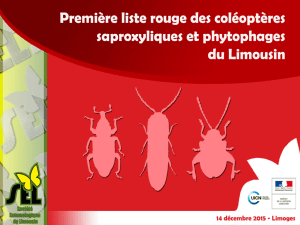 Coléoptères saproxyliques et phytophages