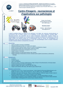 Centre d`imagerie - neurosciences et d`applications aux pathologies