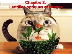 Chapitre 2. Lentilles optiques et images