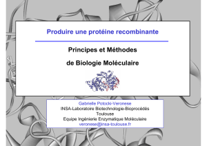 Produire une protéine recombinante Principes et Méthodes de