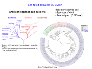 Introduction biologique pour l`annotation des génomes
