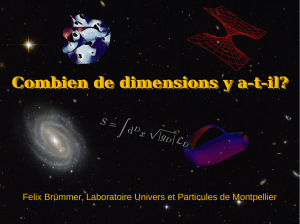 Felix Brümmer, Laboratoire Univers et Particules de Montpellier