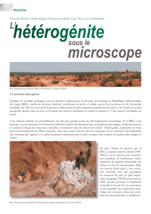 microscope - Geco Project