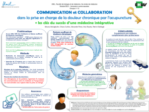 DUMSC - Formation - Immersion 2016 - Poster groupe 12