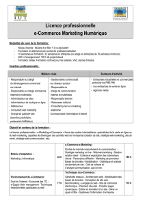 licence professionnelle e-Commerce Marketing