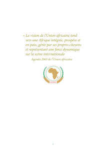 « La vision de l`Union africaine tend vers une Afrique intégrée
