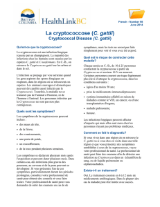 Cryptococcal Disease (C. gattii) - HealthLinkBC File #98