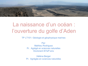 La naissance d`un océan : l`ouverture du golfe d`Aden