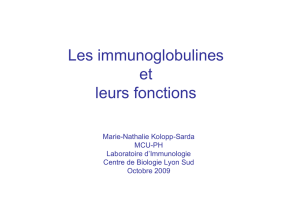 Les immunoglobulines et leurs fonctions