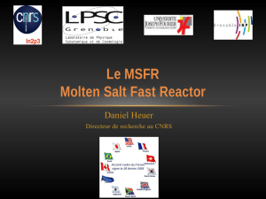 Le MSFR Molten Salt Fast Reactor