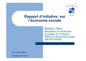 Rapport d`initiative sur l`économie sociale - Saw-B