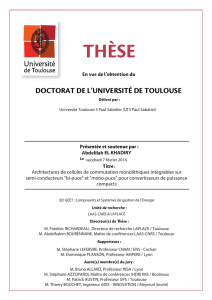 THµSE - Accueil thèses - Université Paul Sabatier