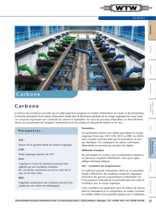 Carbone Carbone