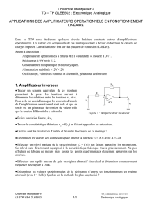 Université Montpellier 2 TD – TP GLEE502 : Electronique