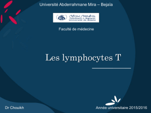 Les lymphocytes T