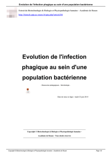 Evolution de l`infection phagique au sein d`une population bactérienne