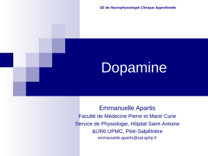 Métabolisme de la dopamine