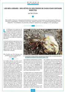 Les Mollusques, hôtes ou proies de certains insectes / Insectes n° 98