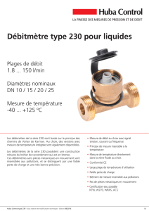 Débitmètre type 230 pour liquides