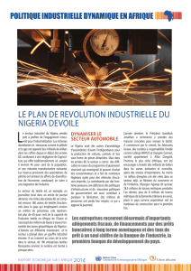 Le plan de révolution industrielle du Nigéria dévoilé