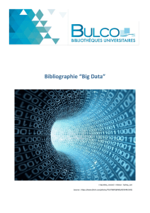 Bibliographie “Big Data” - E