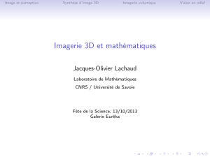 Imagerie 3D et mathématiques - Lama
