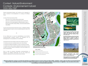 Rideau Canal Crossing | Environmental Assessment