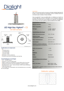 LED High Bay Vigilant® - CE