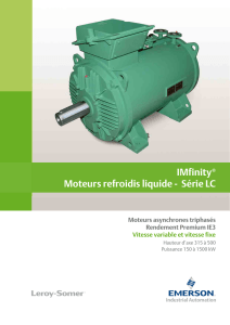 Leroy-Somer Moteurs AC IMfinity® - Catalogue